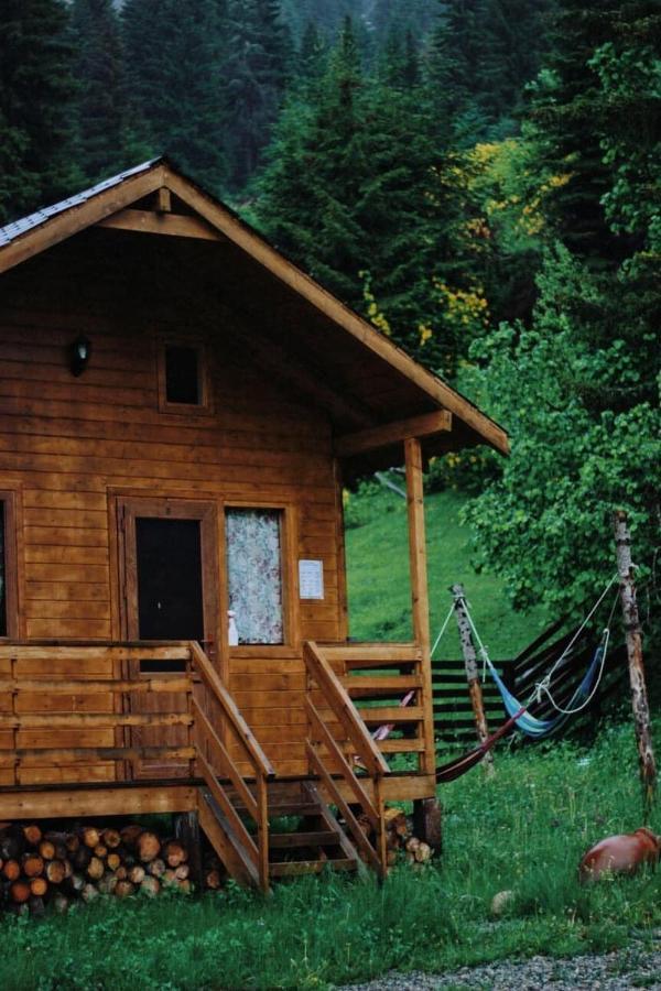 מסטיה Mountain Cabins מראה חיצוני תמונה