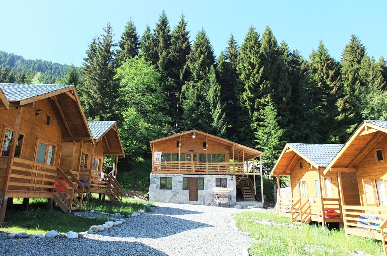 מסטיה Mountain Cabins מראה חיצוני תמונה